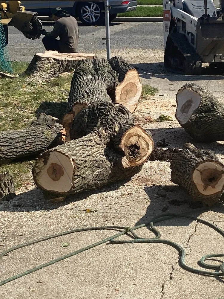 Affordable garden landscaping in Bay Shore, NY by P.J.R Landscaping & Tree Service