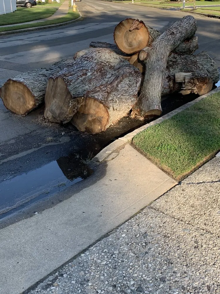 Affordable yard cleanup service in Bay Shore, NY by P.J.R Landscaping & Tree Service