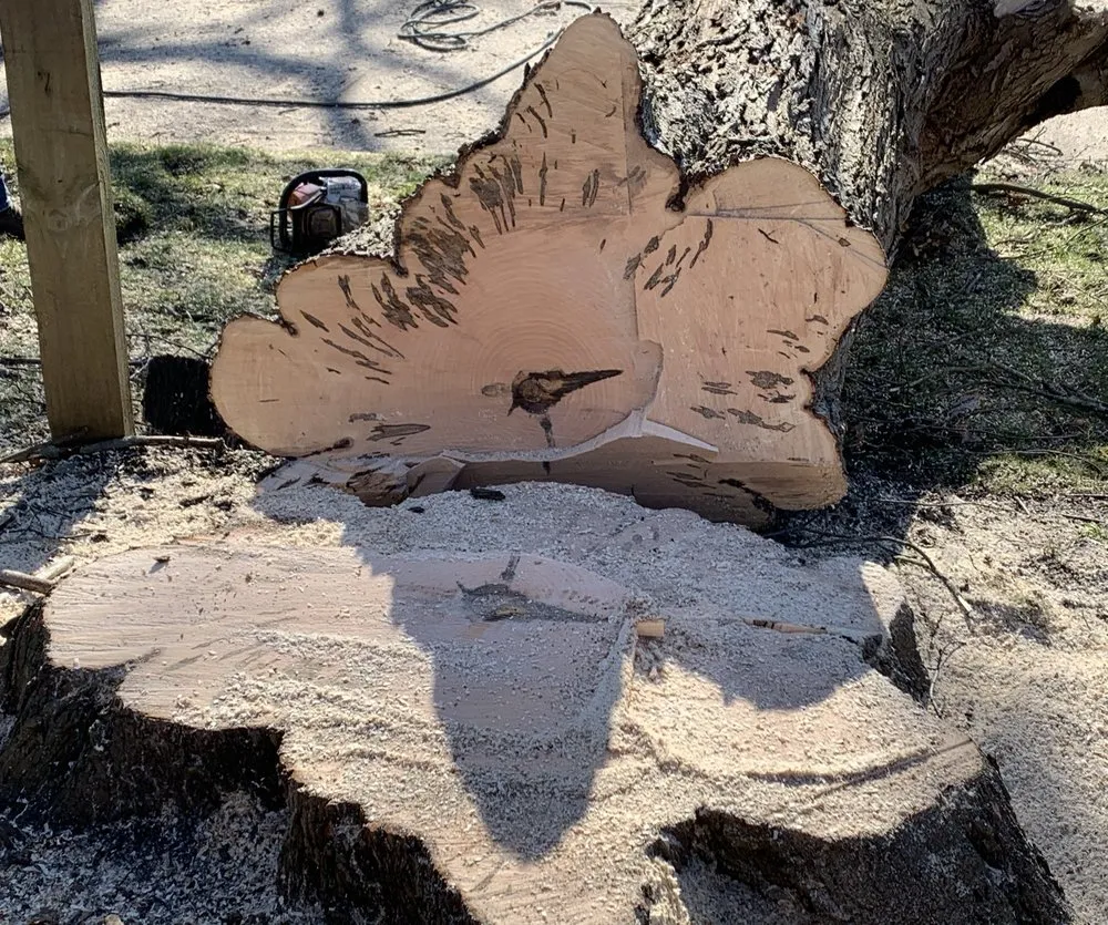 Local outdoor landscaping experts serving Bay Shore, NY - P.J.R Landscaping & Tree Service