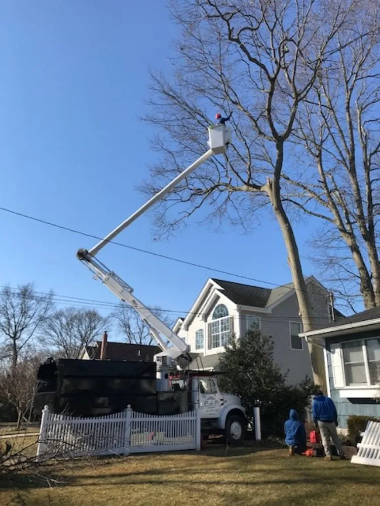 Professional landscape design for year-round maintenance across Bay Shore, NY - P.J.R Landscaping & Tree Service