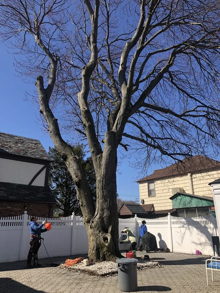 Affordable residential landscaping near you in Bay Shore, NY by P.J.R Landscaping & Tree Service