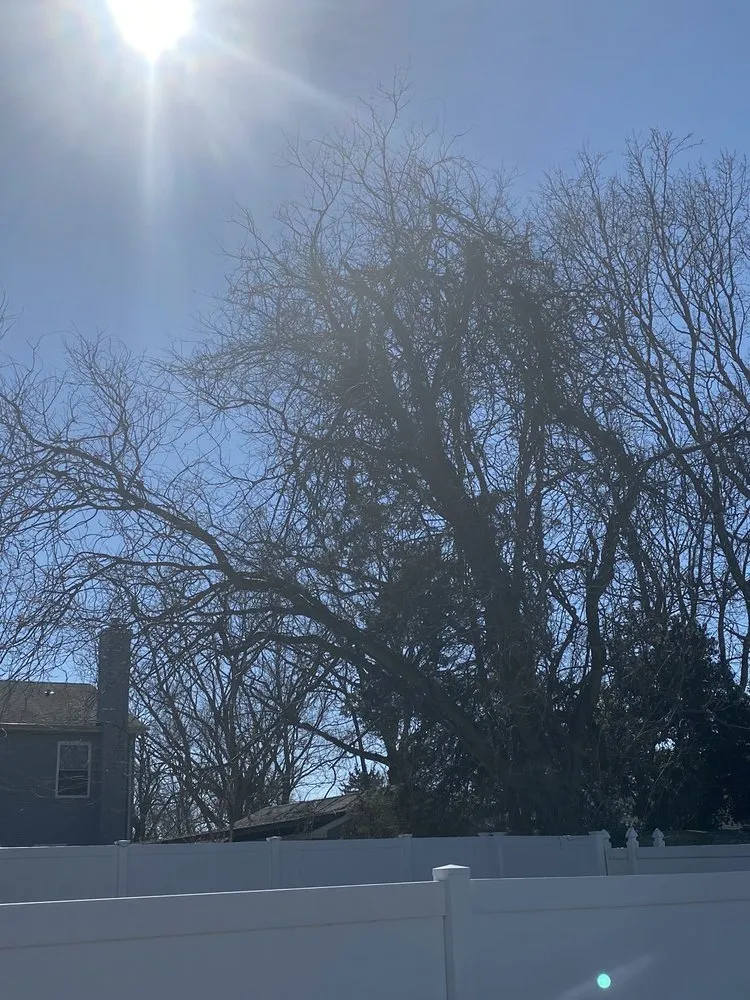 Expert outdoor landscaping experts serving Bay Shore, NY - P.J.R Landscaping & Tree Service