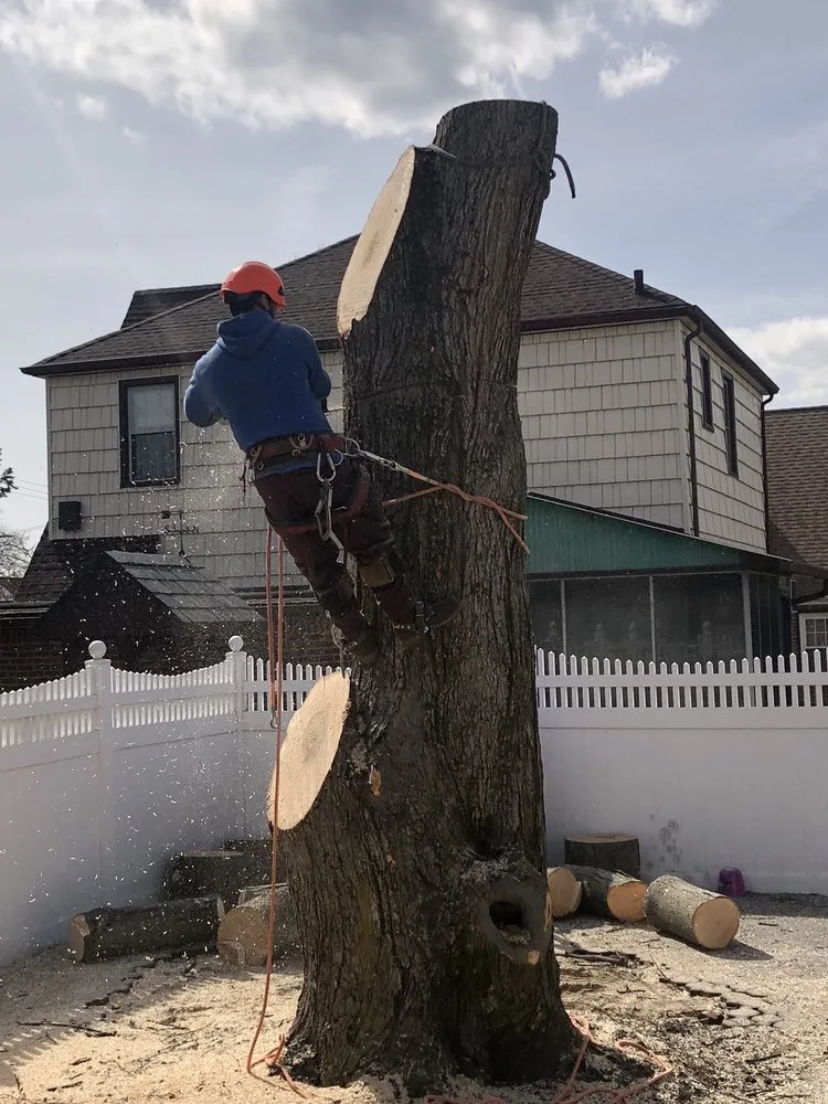 Local outdoor landscaping for beautiful yards in Bay Shore, NY by P.J.R Landscaping & Tree Service