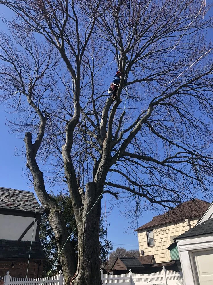 Trusted landscaping services experts serving Bay Shore, NY - P.J.R Landscaping & Tree Service