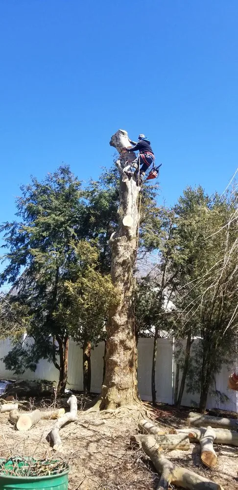 Expert yard maintenance for beautiful yards in Bay Shore, NY by P.J.R Landscaping & Tree Service