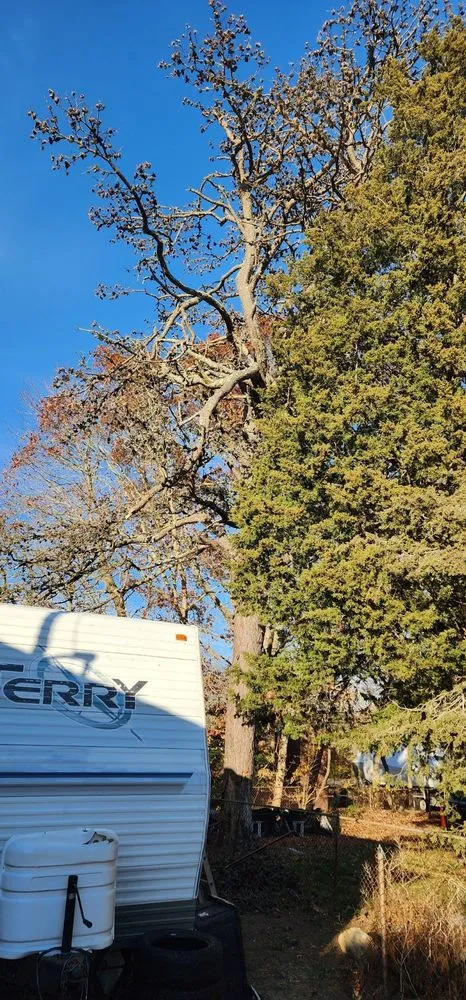 Affordable yard cleanup service with custom design in Bay Shore, NY by P.J.R Landscaping & Tree Service