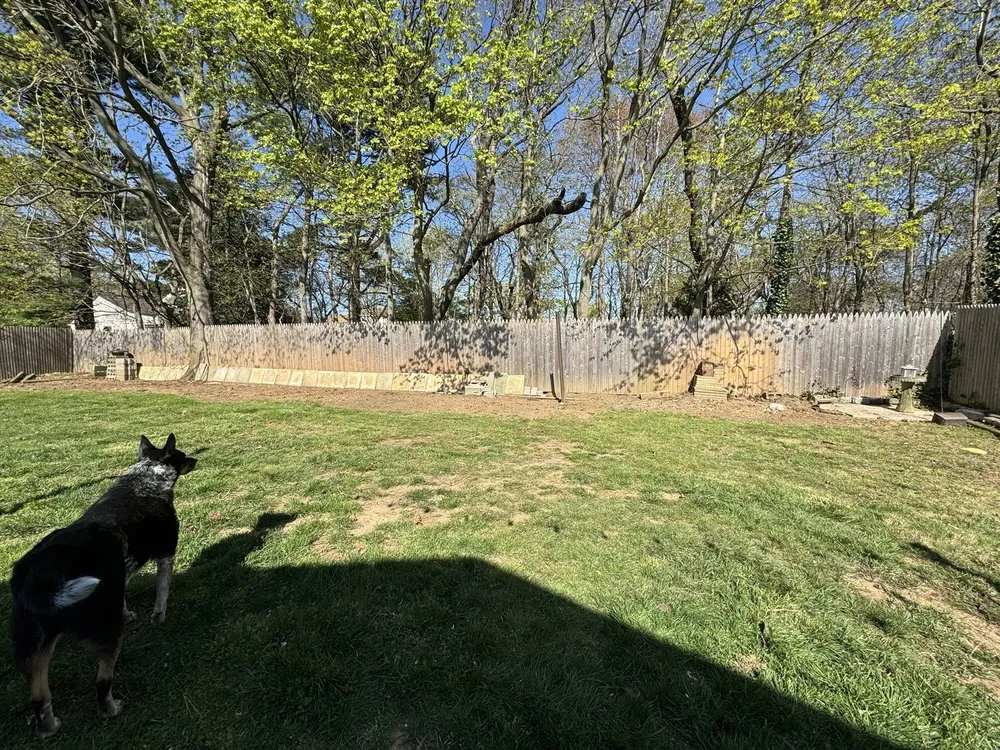 Professional yard cleanup service experts serving Bay Shore, NY - P.J.R Landscaping & Tree Service