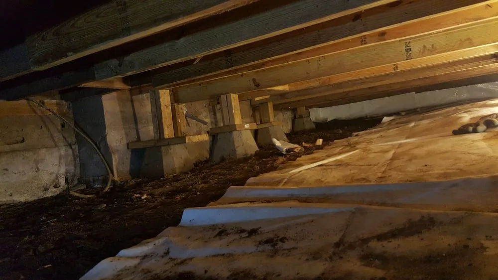 Top-rated landscaping services in Milford, CT - PJs Basement Solutions