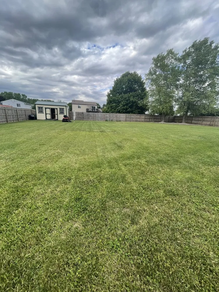 Custom yard cleanup service experts serving Elkhart, IN - PJ’s Home and Property Management