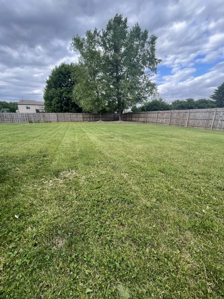 Reliable landscaping services in Elkhart, IN by PJ’s Home and Property Management