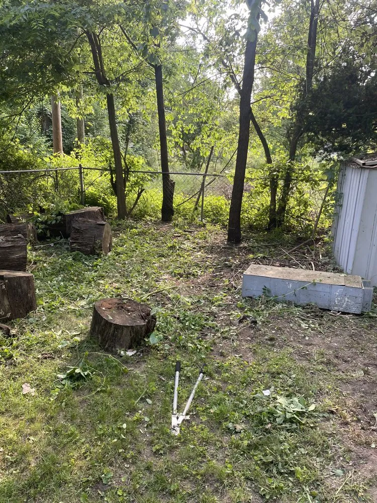 Custom lawn mowing service experts serving Elkhart, IN - PJ’s Home and Property Management