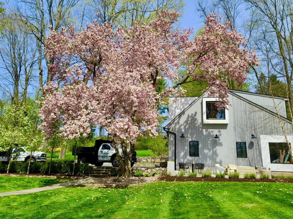 Top-rated outdoor landscaping near you in Bridgeport, CT by PJ's Landscape & Design