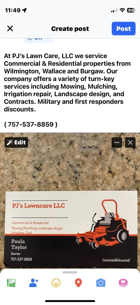 Local yard cleanup service for beautiful yards in Saint Helena, NC by PJ’s Lawn Care