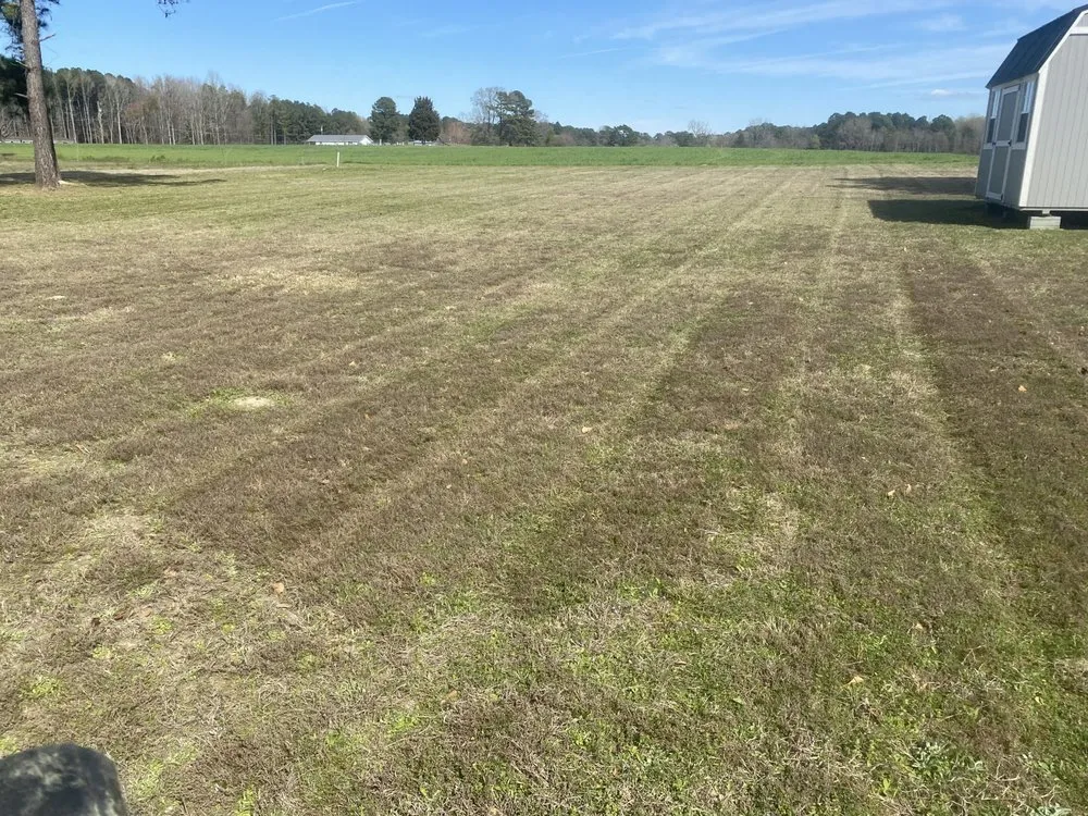 Expert residential landscaping near you in Selma, NC by Pjs Lawn Care