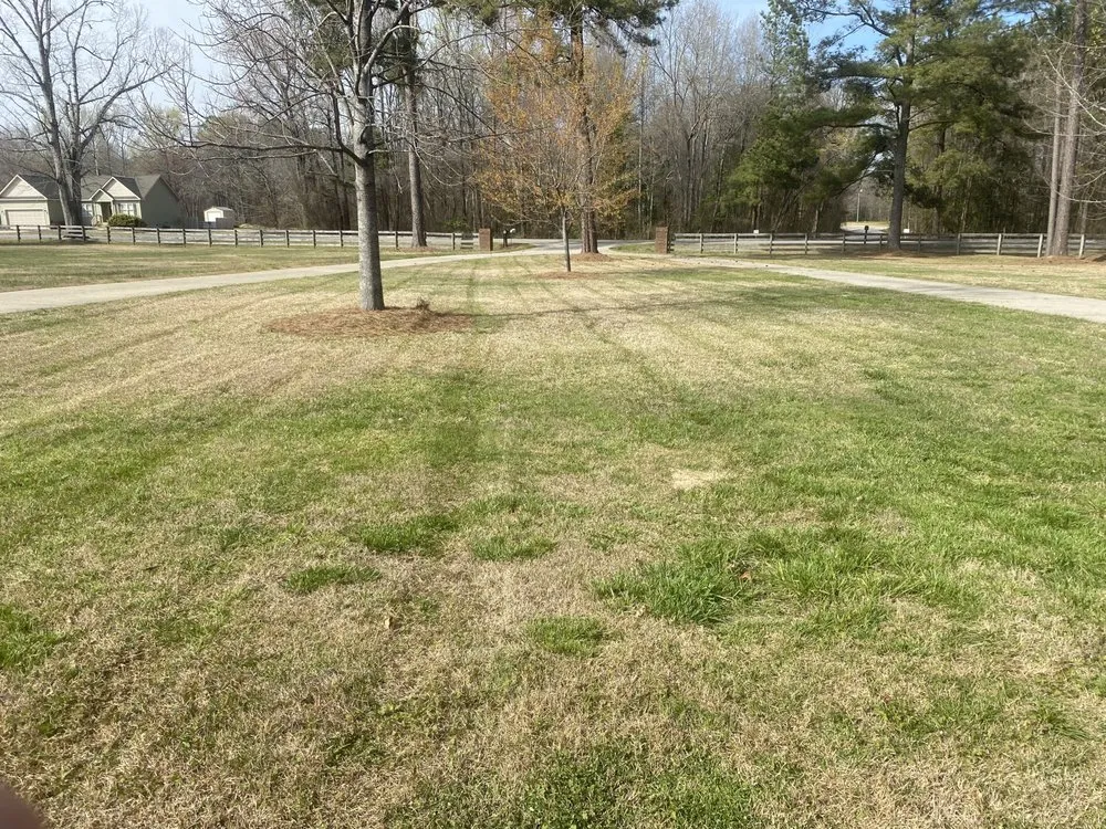 Affordable yard maintenance for homes in Selma, NC by Pjs Lawn Care
