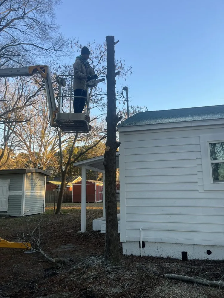 Top-rated garden landscaping for homes in Selma, NC by Pjs Lawn Care