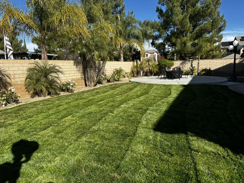 Professional landscape design for residential properties across Victorville, CA - PJ’s lawn care services