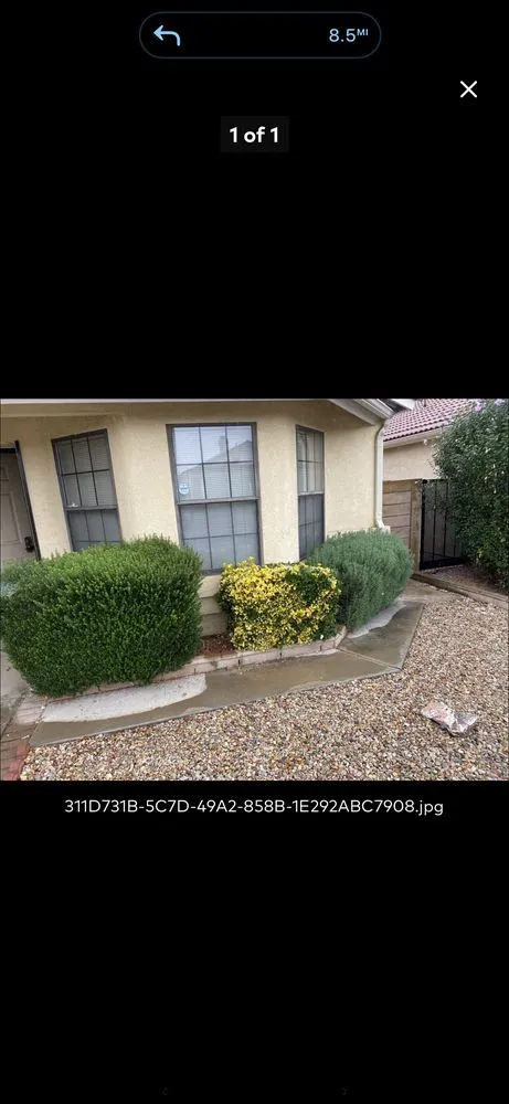 Custom yard cleanup service in Victorville, CA by PJ’s lawn care services