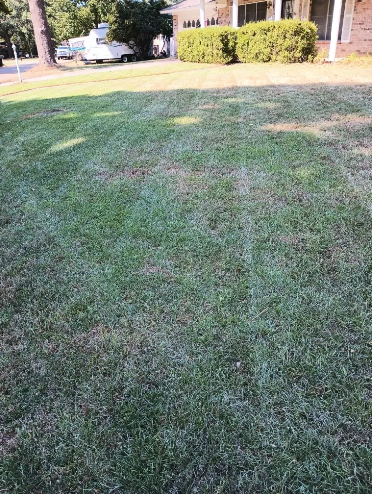 Professional landscaping services near you in Texarkana, TX by PJ's Lawn Mowing