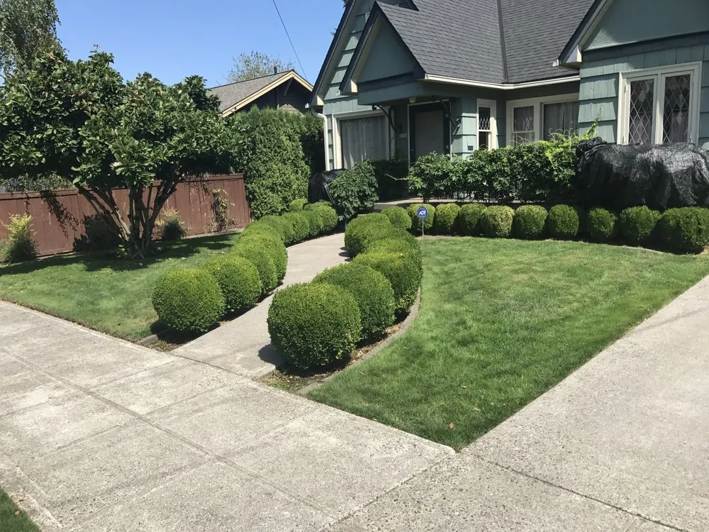 Affordable residential landscaping experts serving Phoenix, AZ - Pj's Lawn Services & Pressure Washing