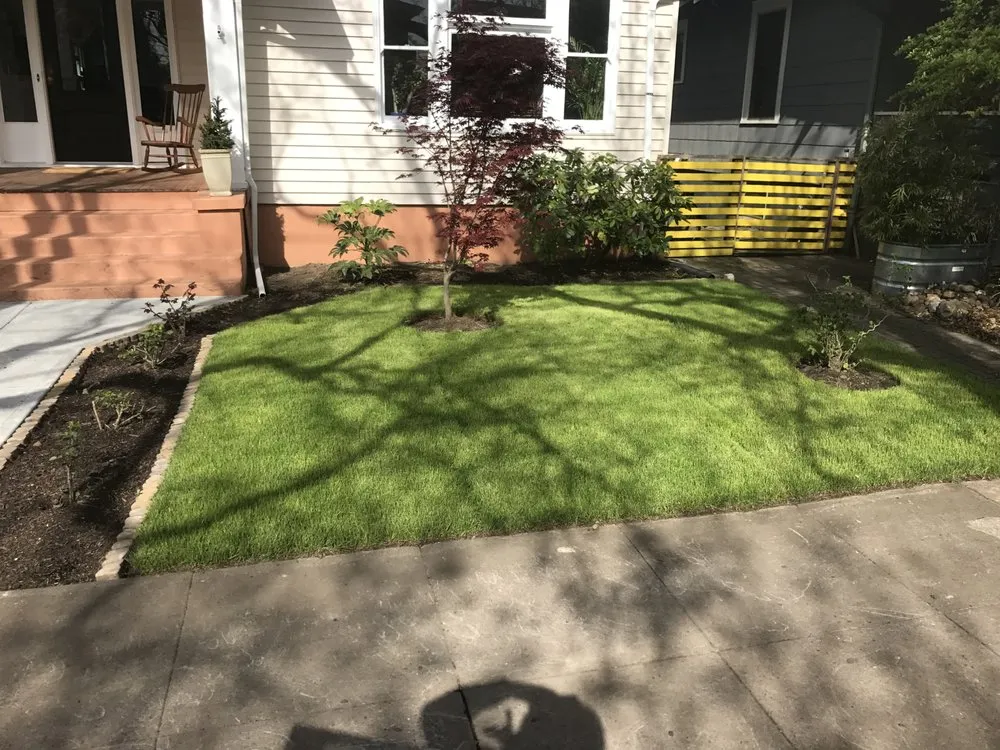 Trusted yard cleanup service in Phoenix, AZ by Pj's Lawn Services & Pressure Washing