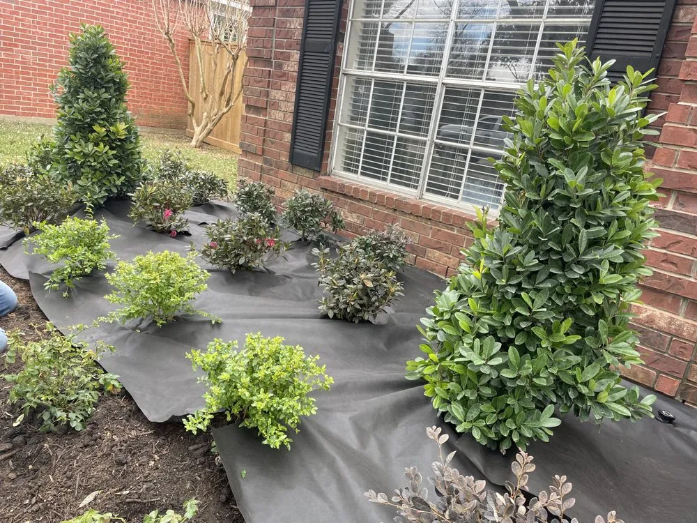 Affordable yard cleanup service in Richmond, TX by PJ's Patios & Landscaping