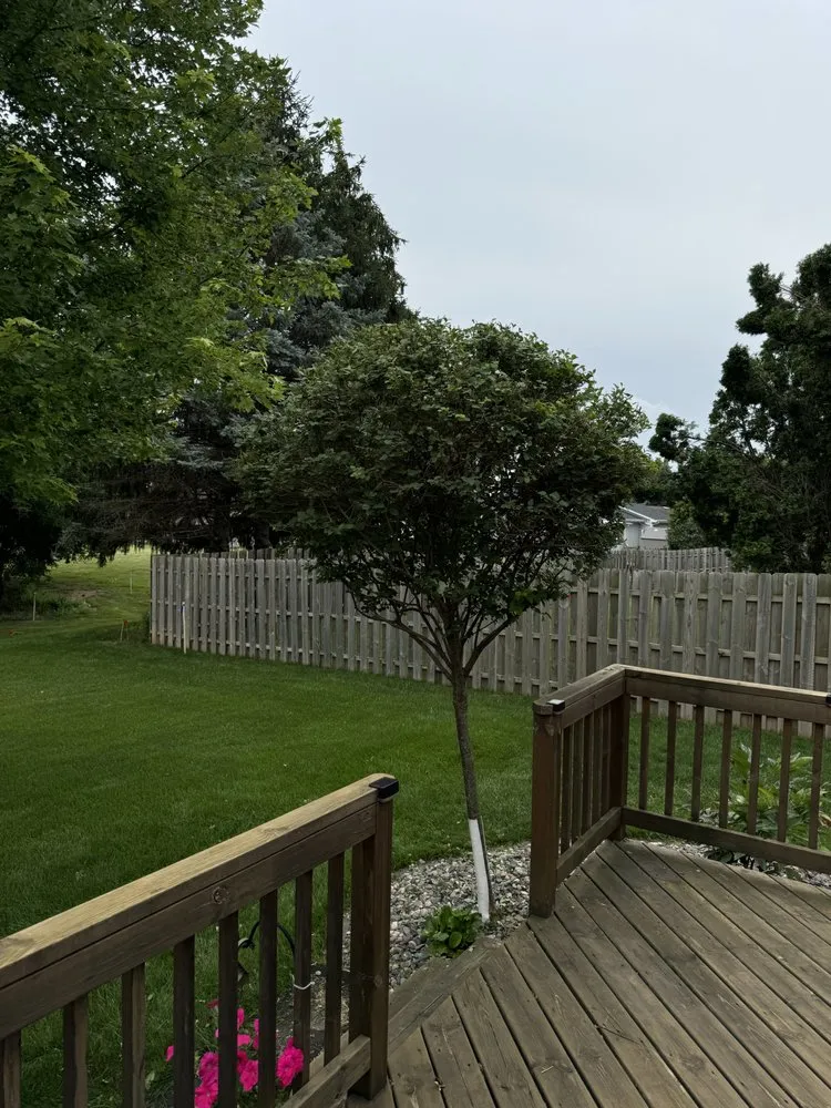 Local lawn mowing service in Ashwaubenon, WI by PK & Son Lawn Care