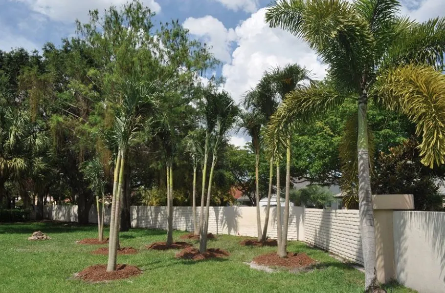 Expert outdoor landscaping in Coconut Creek, FL by Pk Boca