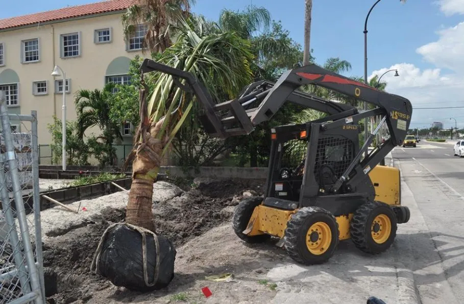 Expert residential landscaping near you across Coconut Creek, FL - Pk Boca