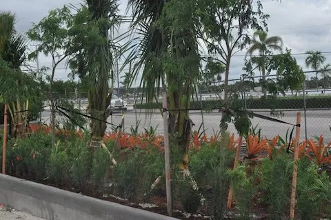 Trusted garden landscaping experts serving Coconut Creek, FL - Pk Boca