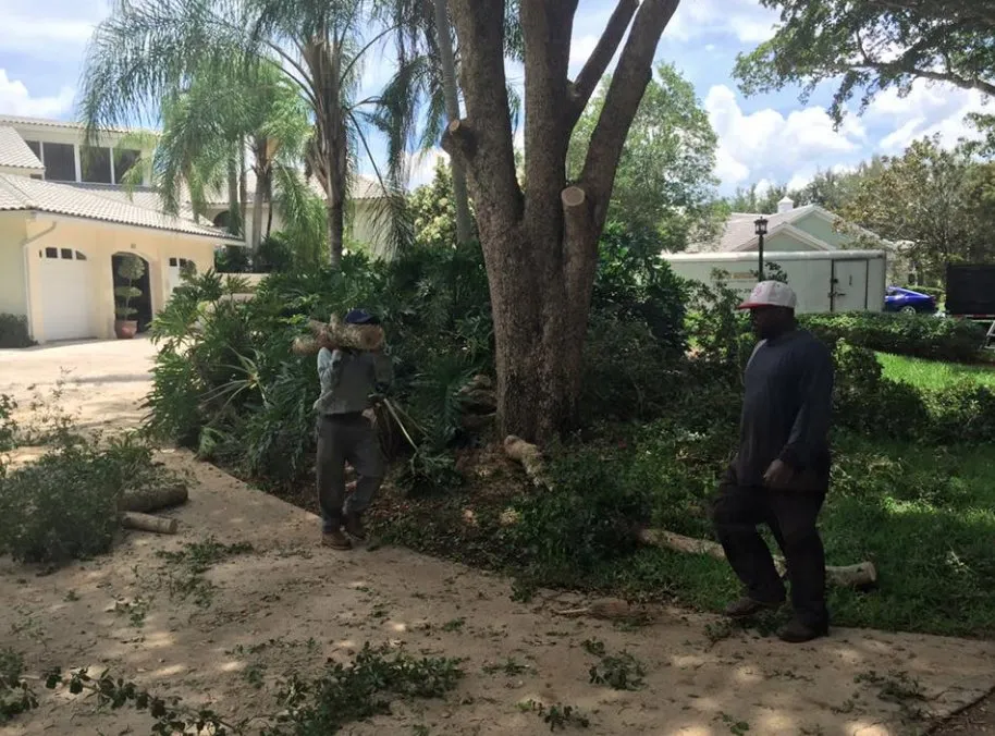 Reliable landscape design in Coconut Creek, FL - Pk Boca