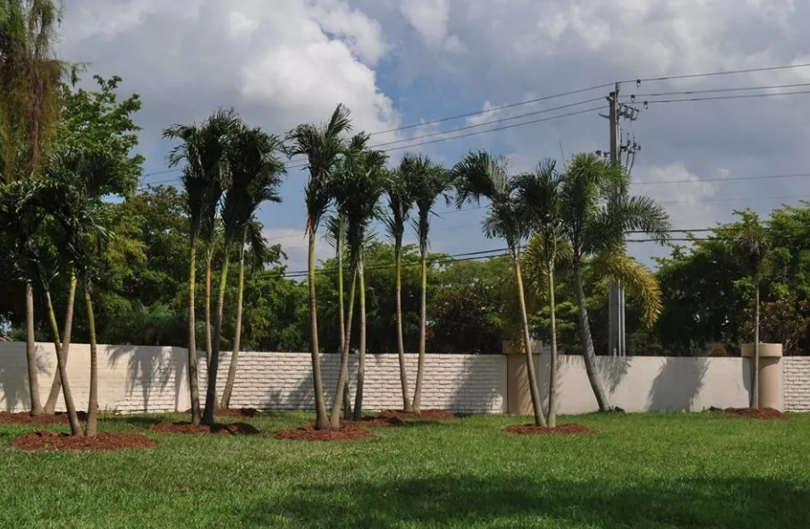 Top-rated landscape installation for homes across Coconut Creek, FL - Pk Boca