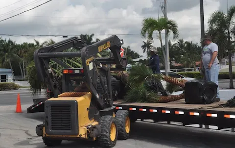 Professional yard maintenance experts serving Coconut Creek, FL - Pk Boca