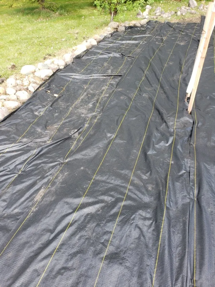 Professional yard cleanup service for beautiful yards across Fargo, ND - Pk Landscaping Service