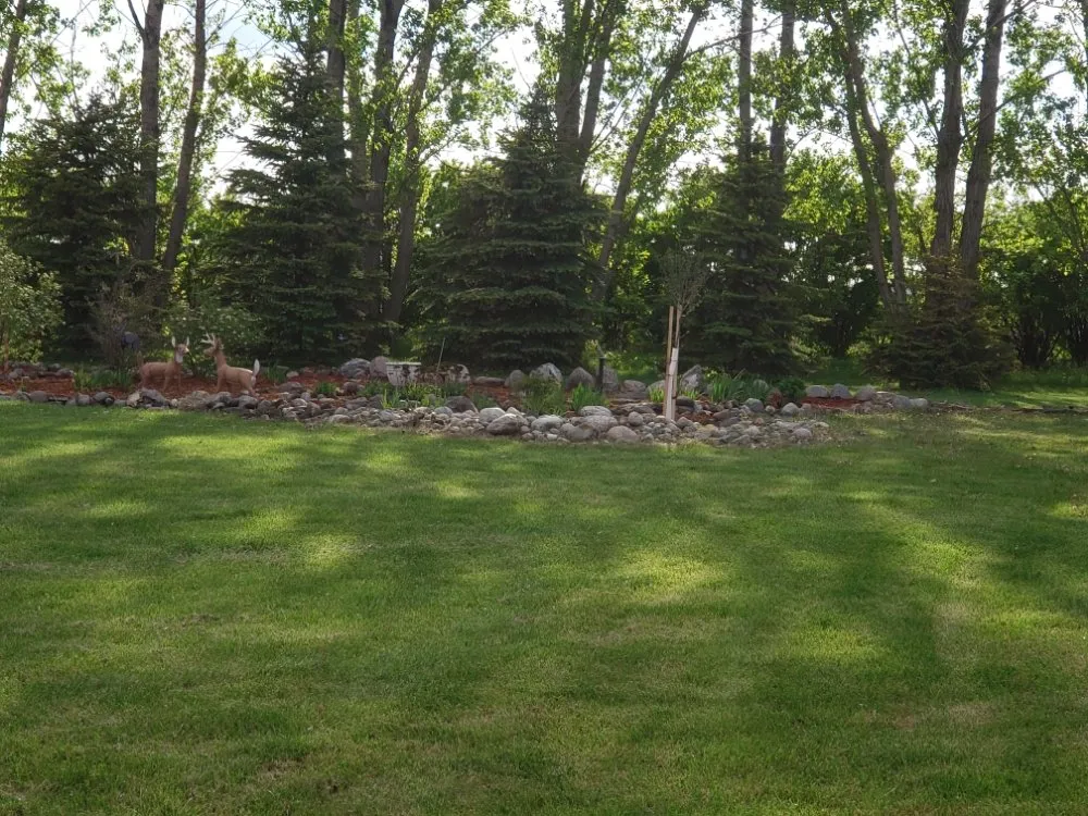 Local yard cleanup service in Fargo, ND - Pk Landscaping Service