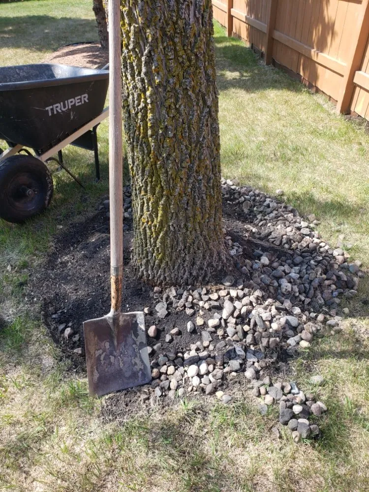 Top-rated yard cleanup service in Fargo, ND - Pk Landscaping Service