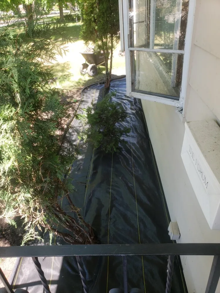 Expert lawn care service experts serving Fargo, ND - Pk Landscaping Service