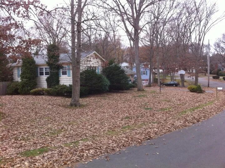 Affordable yard maintenance in Smithfield, RI by P&K Landscaping
