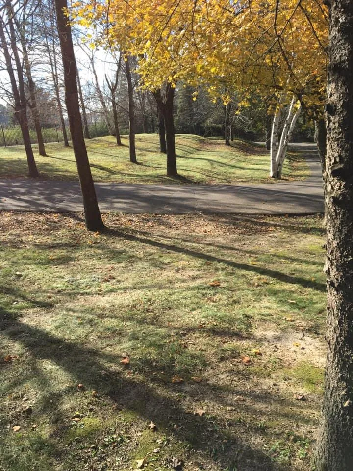 Reliable landscaping services for beautiful yards in Hudson, WI by P&K Lawn Care