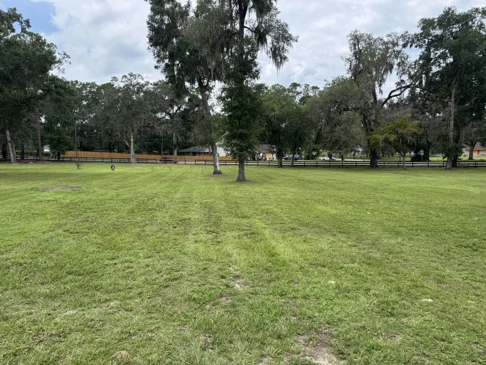 Local yard cleanup service in Ocala, FL by PK’s Lawn Service
