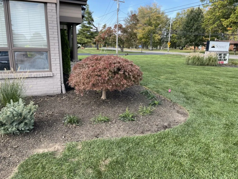 Top-rated landscaping services for homes in Montgomery, OH by PKZ Landscaping