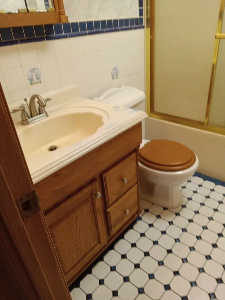 Expert yard cleanup service experts serving Johnson City, NY - P&L Clean Outs & Home Improvements