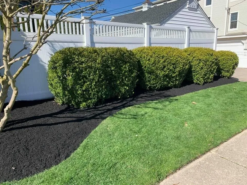 Affordable landscaping services for year-round maintenance in Port Saint Lucie, FL by P&L LANDSCAPING SERVICES