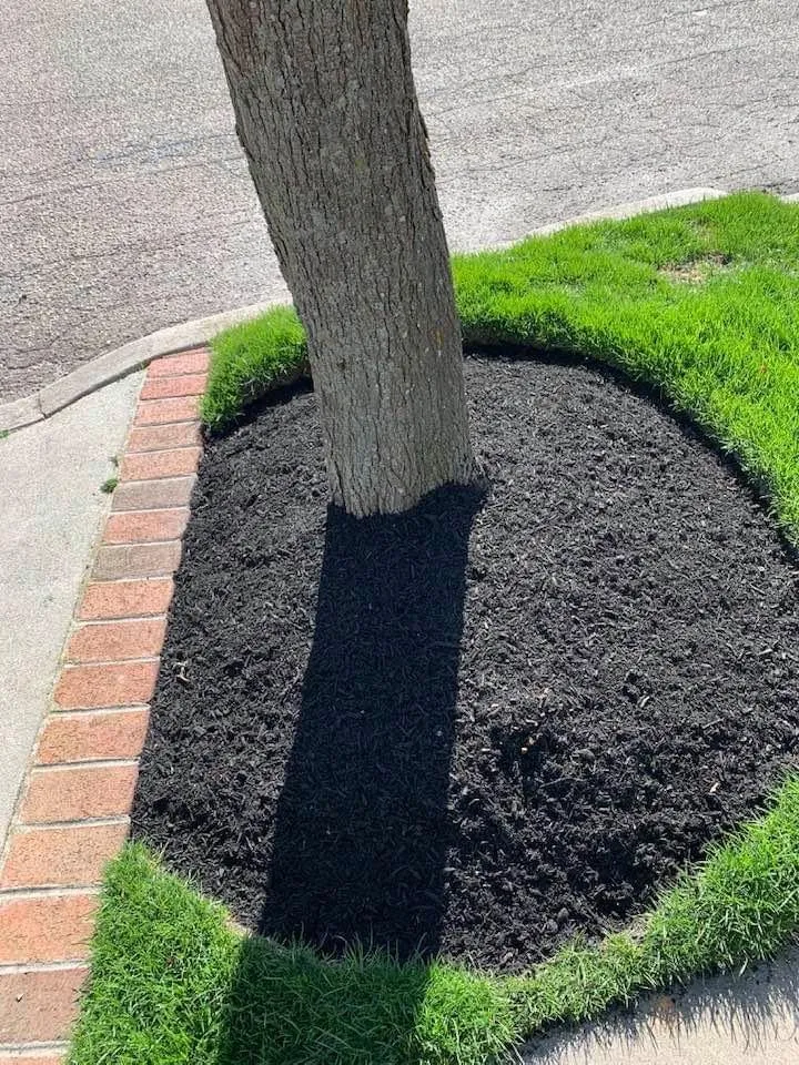 Top-rated landscaping services experts serving Port Saint Lucie, FL - P&L LANDSCAPING SERVICES