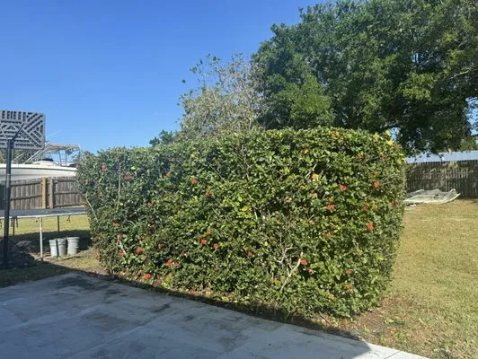 P&L LANDSCAPING SERVICES