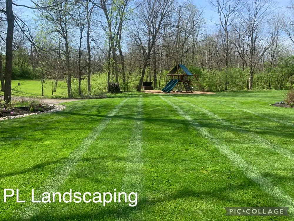 Professional yard cleanup service for year-round maintenance across West Chester, OH - PL Landscaping