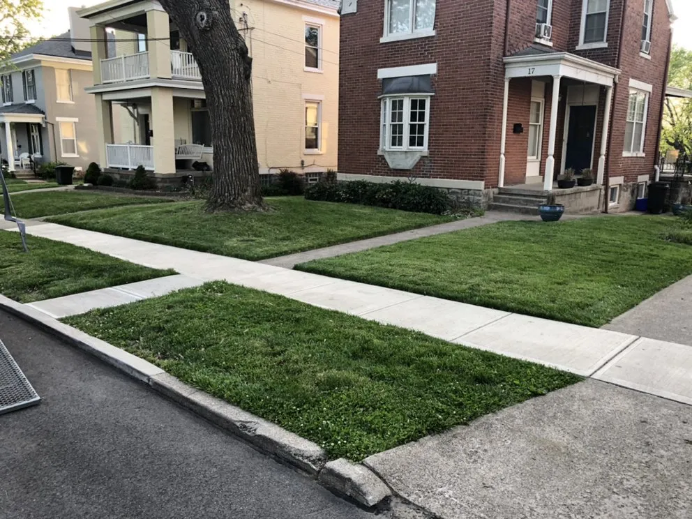 Custom yard maintenance in Cincinnati, OH by PL lawncare