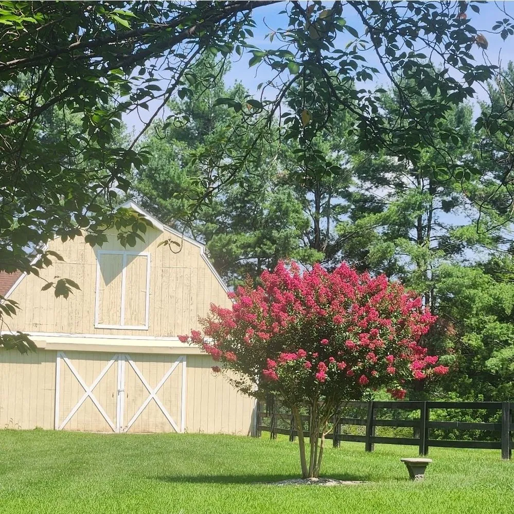 Trusted lawn mowing service in Leesburg, VA - P&L Outdoor Solutions