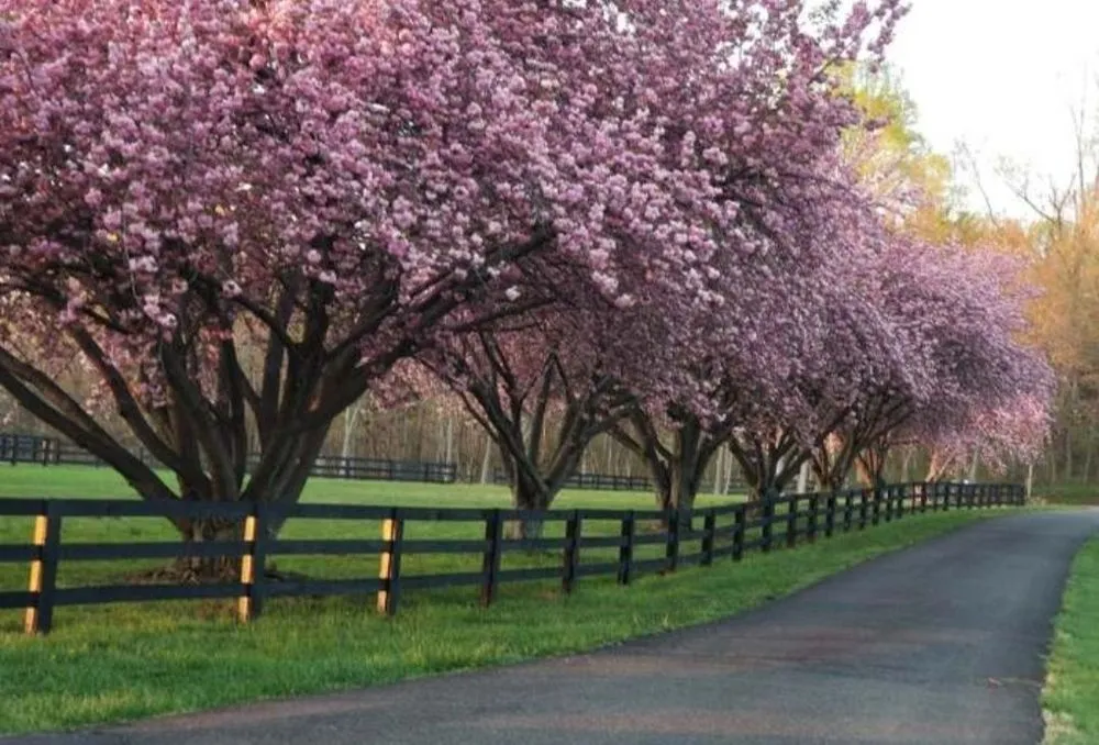 Expert garden landscaping in Leesburg, VA - P&L Outdoor Solutions