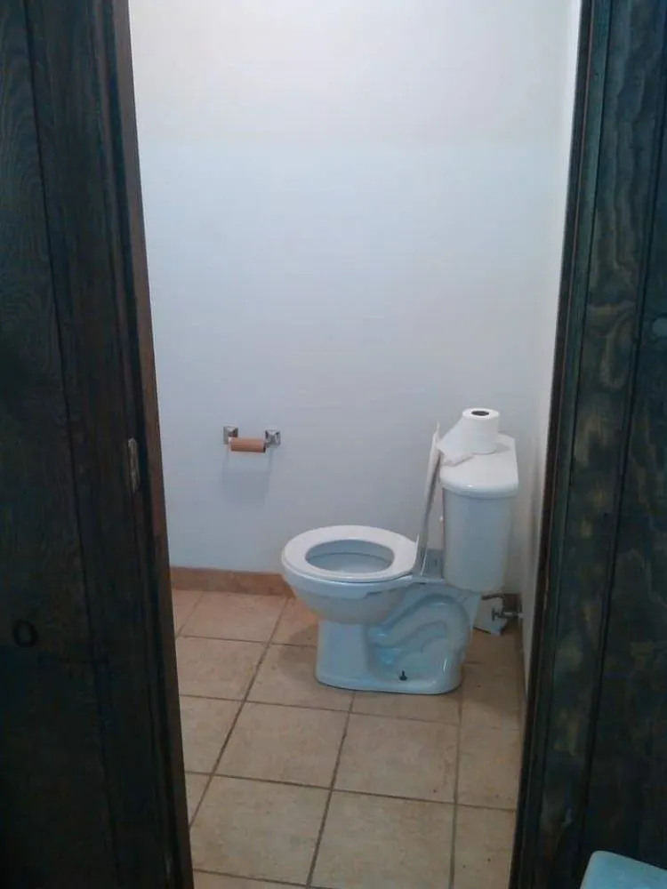 Reliable lawn care service for beautiful yards in Church Hill, TN by P&L Property Group